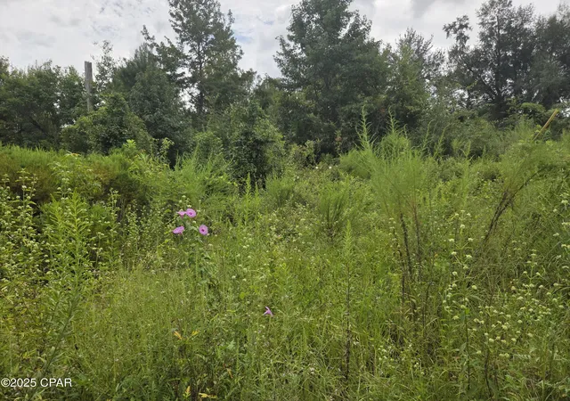 Photo 3 of Land for sale at 7215 Diane Ln, Panama City, FL 32404 | MLS# 778927 | Listing updated on 2026-09-02