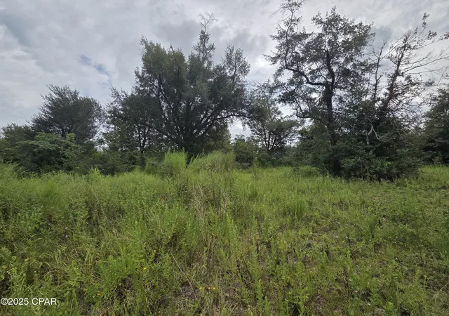 Photo 4 of Land for sale at 7215 Diane Ln, Panama City, FL 32404 | MLS# 778927 | Listing updated on 2026-09-02