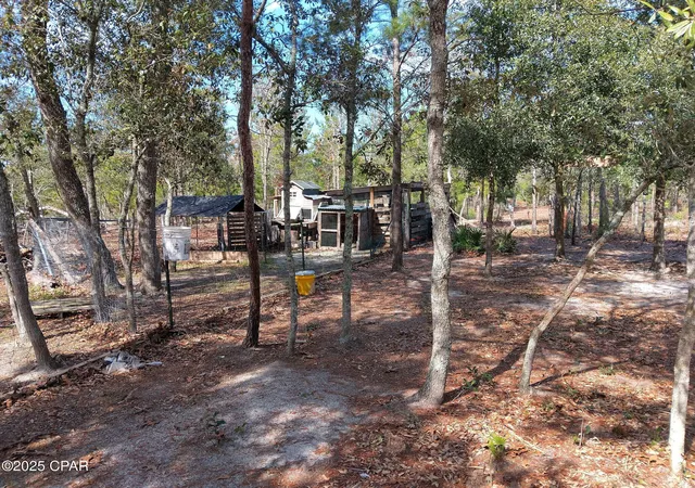 Photo 1 of Land for sale at 6939 NW Porter Grade Rd, Altha, FL 32421 | MLS# 778941 | Listing updated on 2026-08-24
