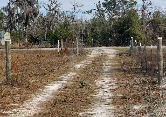 Photo 3 of Land for sale at 6939 NW Porter Grade Rd, Altha, FL 32421 | MLS# 778941 | Listing updated on 2026-08-24