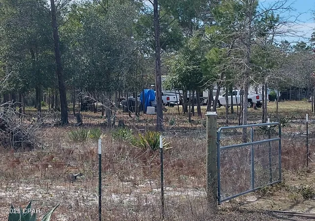 Photo 4 of Land for sale at 6939 NW Porter Grade Rd, Altha, FL 32421 | MLS# 778941 | Listing updated on 2026-08-24