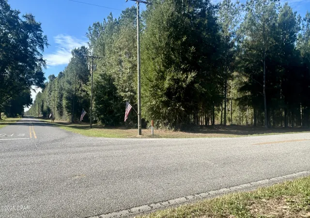Photo 3 of Sale Pending at 0 Flowersview Blvd, Laurel Hill, FL 32567 | MLS# 780747 | Listing updated on 2026-08-04