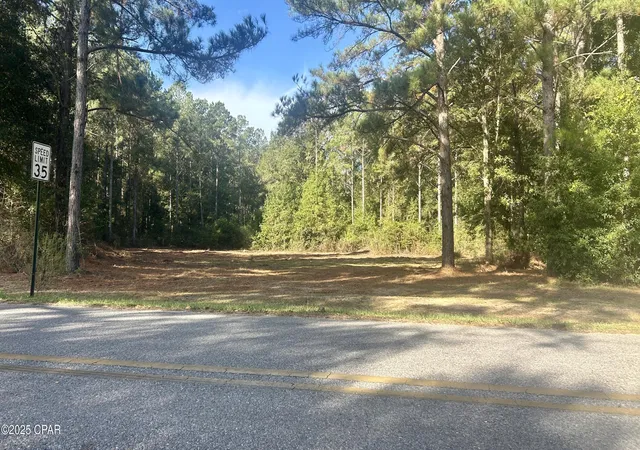 Photo 4 of Sale Pending at 0 Flowersview Blvd, Laurel Hill, FL 32567 | MLS# 780747 | Listing updated on 2026-08-04