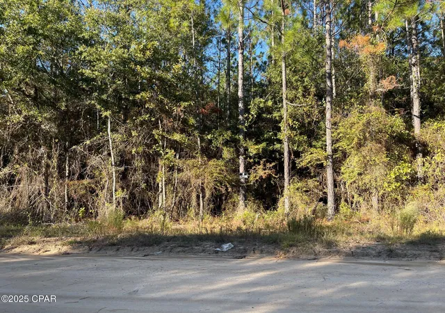 Photo 2 of Land for sale at 0 Cross County Blvd, Marianna, FL 32446 | MLS# 781495 | Listing updated on 2026-07-30