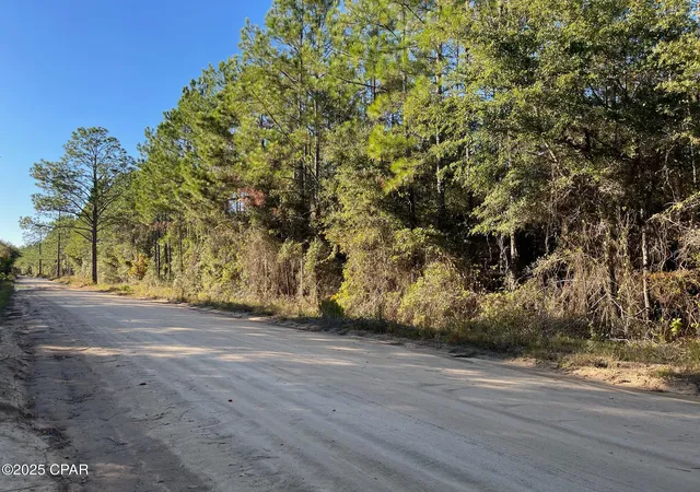 Photo 3 of Land for sale at 0 Cross County Blvd, Marianna, FL 32446 | MLS# 781495 | Listing updated on 2026-07-30