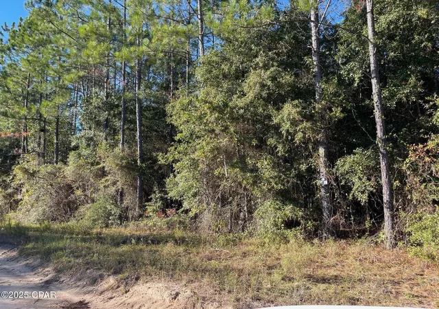 Photo 2 of Land for sale at 00 Blocker Rd, Greenwood, FL 32443 | MLS# 781497 | Listing updated on 2026-07-30