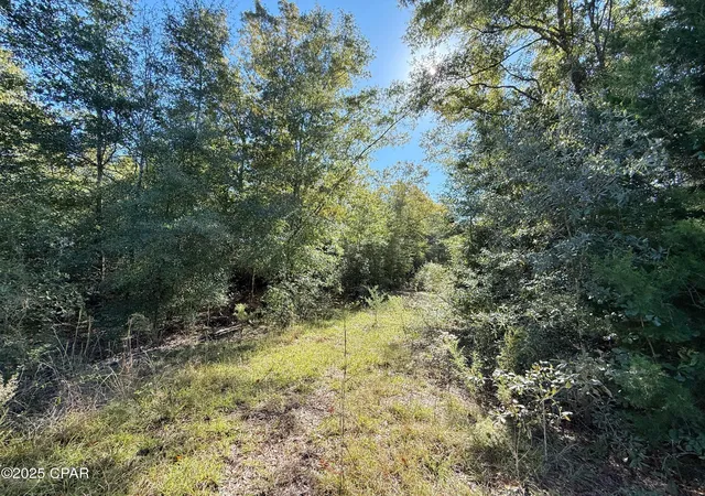 Photo 3 of Land for sale at 00 Sweet Pond Rd, Greenwood, FL 32443 | MLS# 781673 | Listing updated on 2026-08-24