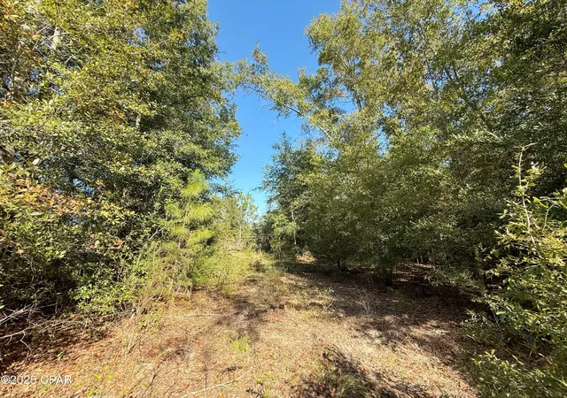 Photo 4 of Land for sale at 00 Sweet Pond Rd, Greenwood, FL 32443 | MLS# 781673 | Listing updated on 2026-08-24