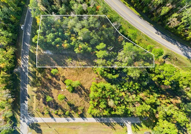 Photo 1 of Land for sale at 135 Canning Dr, Wewahitchka, FL 32465 | MLS# 781695 | Listing updated on 2026-09-05