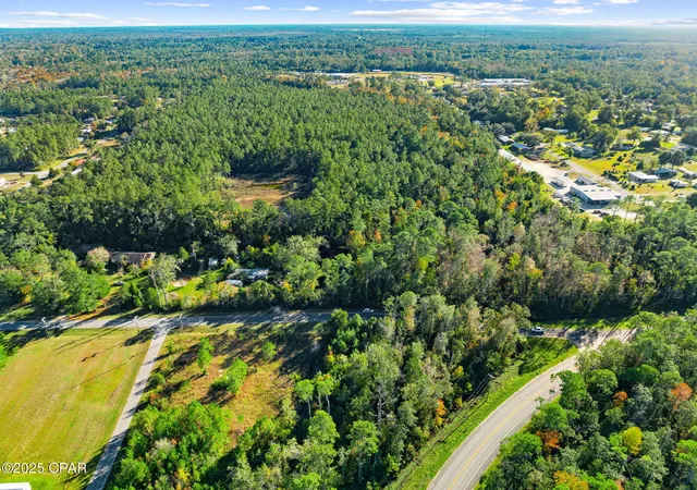 Photo 2 of Land for sale at 135 Canning Dr, Wewahitchka, FL 32465 | MLS# 781695 | Listing updated on 2026-09-05