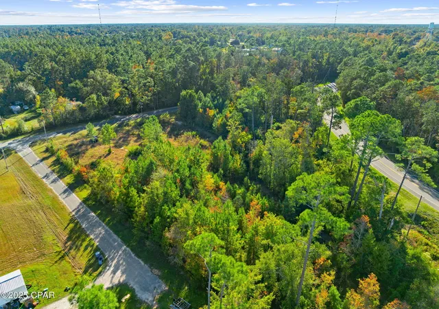 Photo 3 of Land for sale at 135 Canning Dr, Wewahitchka, FL 32465 | MLS# 781695 | Listing updated on 2026-09-05