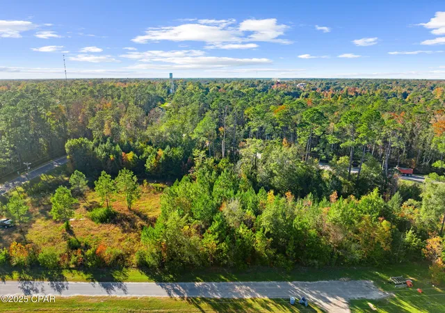 Photo 4 of Land for sale at 135 Canning Dr, Wewahitchka, FL 32465 | MLS# 781695 | Listing updated on 2026-09-05