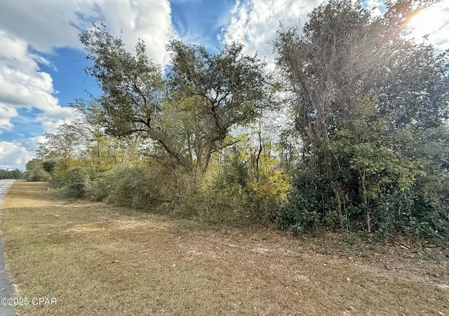 Photo 1 of Land for sale at Lot 24 Nortek Blvd, Marianna, FL 32448 | MLS# 782316 | Listing updated on 2026-08-24