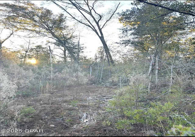 Photo 1 of Sale Pending at Tbd Highway 90, Marianna, FL 32446 | MLS# 782580 | Listing updated on 2026-08-04