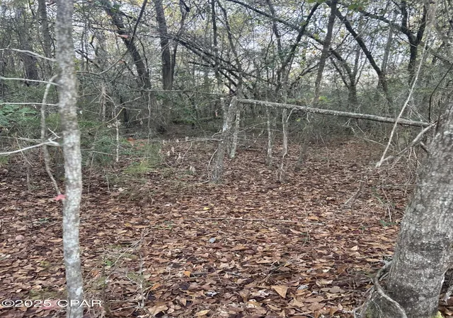 Photo 3 of Sale Pending at Tbd Highway 90, Marianna, FL 32446 | MLS# 782580 | Listing updated on 2026-08-04