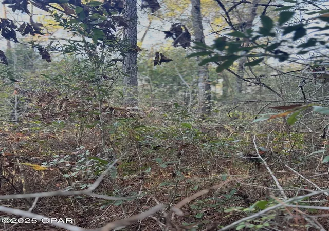 Photo 4 of Sale Pending at Tbd Highway 90, Marianna, FL 32446 | MLS# 782580 | Listing updated on 2026-08-04