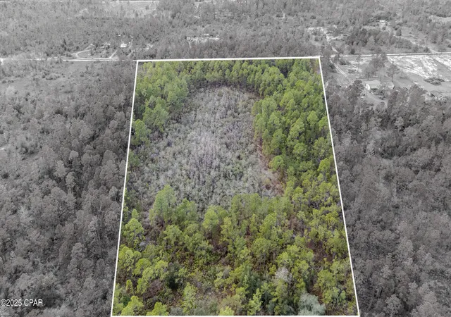 Photo 3 of Land for sale at 3 1n 11w Baker Rd, Altha, FL 32421 | MLS# 782837 | Listing updated on 2026-08-19