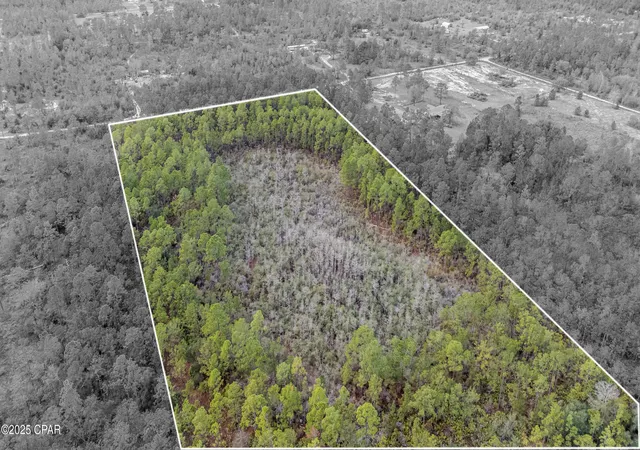 Photo 3 of Land for sale at 3-1n-11w Baker Rd, Altha, FL 32421 | MLS# 782837 | Listing updated on 2026-08-19