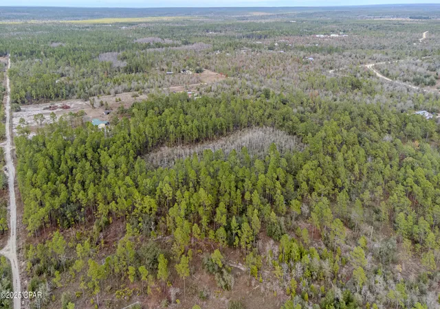 Photo 4 of Land for sale at 3-1n-11w Baker Rd, Altha, FL 32421 | MLS# 782837 | Listing updated on 2026-08-19