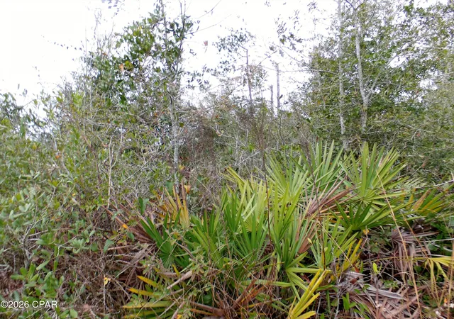 Photo 3 of Land for sale at 0 Klondyke Rd, Youngstown, FL 32466 | MLS# 783337 | Listing updated on 2026-09-10