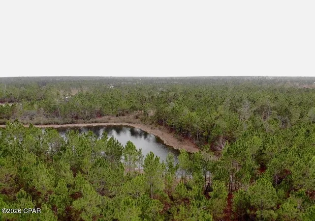 Photo 2 of Land for sale at 114 Widewater Cir, Wewahitchka, FL 32465 | MLS# 783447 | Listing updated on 2026-09-09