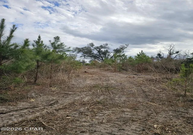 Photo 4 of Sale Pending at Tbd Lovewood Rd, Cottondale, FL 32431 | MLS# 783844 | Listing updated on 2026-08-31