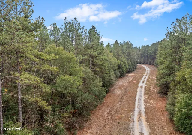 Photo 4 of Land for sale at Xxx Sumac Rd, Westville, FL 32464 | MLS# 784146 | Listing updated on 2026-09-29