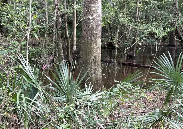 Photo 3 of Sale Pending at 0 Big Cedar Rd, Ponce De Leon, FL 32455 | MLS# 784172 | Listing updated on 2026-10-06