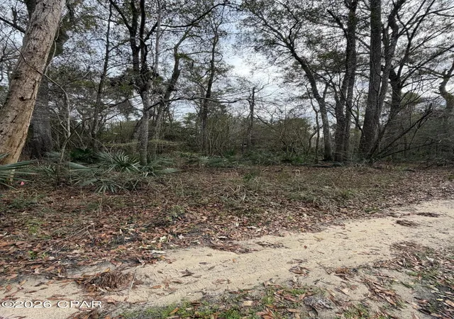 Photo 3 of Sale Pending at 0 Big Cedar Rd, Ponce De Leon, FL 32455 | MLS# 784172 | Listing updated on 2026-10-06