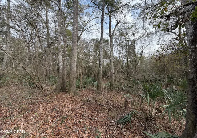 Photo 4 of Sale Pending at 0 Big Cedar Rd, Ponce De Leon, FL 32455 | MLS# 784172 | Listing updated on 2026-10-06
