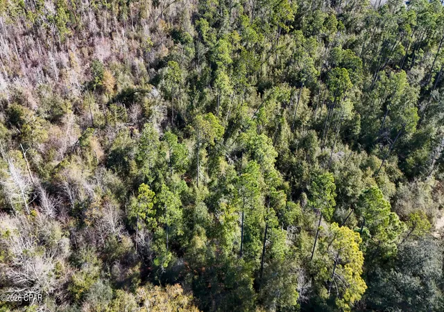 Photo 4 of Land for sale at 0000 White Pond Church Rd, Alford, FL 32420 | MLS# 784461 | Listing updated on 2026-08-27
