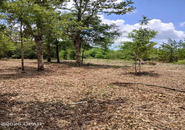 Photo 2 of Land for sale at 00 Western Rd, Fountain, FL 32438 | MLS# 784489 | Listing updated on 2026-09-04
