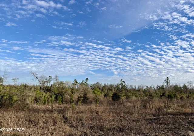 Photo 1 of Land for sale at 25 Acres Davenport Rd, Marianna, FL 32448 | MLS# 784743 | Listing updated on 2026-08-18