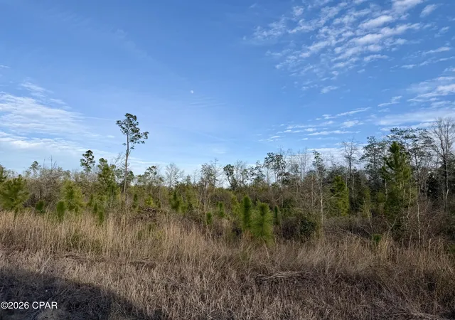Photo 2 of Land for sale at 25 Acres Davenport Rd, Marianna, FL 32448 | MLS# 784743 | Listing updated on 2026-08-18