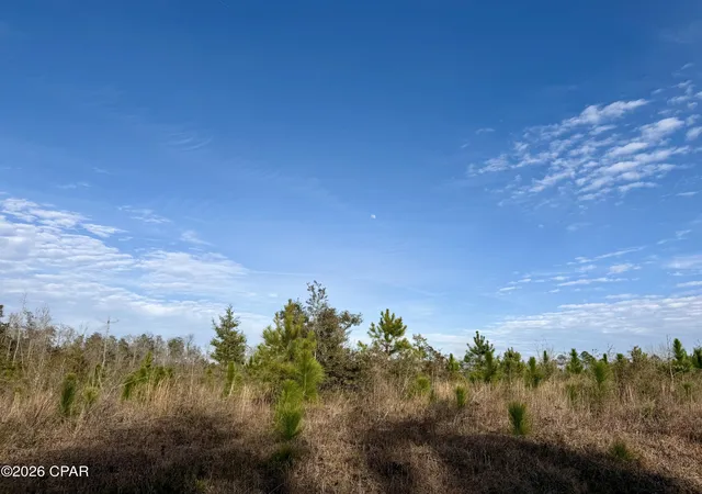 Photo 3 of Land for sale at 25 Acres Davenport Rd, Marianna, FL 32448 | MLS# 784743 | Listing updated on 2026-08-18