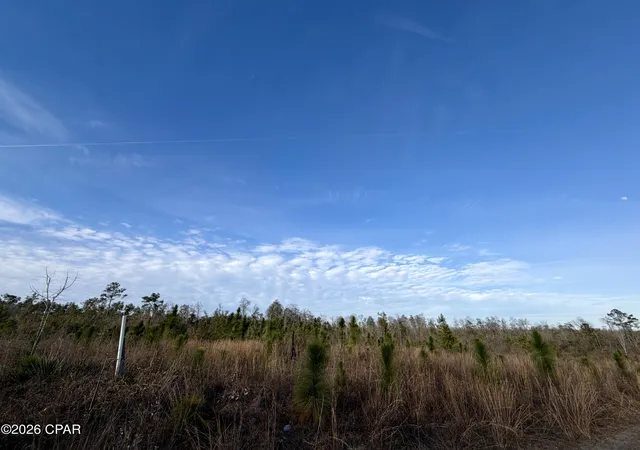 Photo 3 of Land for sale at 25 Acres Davenport Rd, Marianna, FL 32448 | MLS# 784743 | Listing updated on 2026-08-18