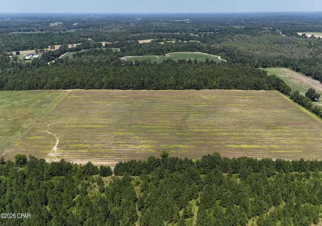 Photo 3 of Land for sale at 0 Peanut Rd, Cottondale, FL 32431 | MLS# 784918 | Listing updated on 2026-09-02