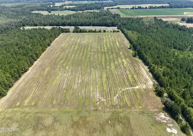 Photo 3 of Land for sale at 0 Peanut Rd, Cottondale, FL 32431 | MLS# 784918 | Listing updated on 2026-09-02