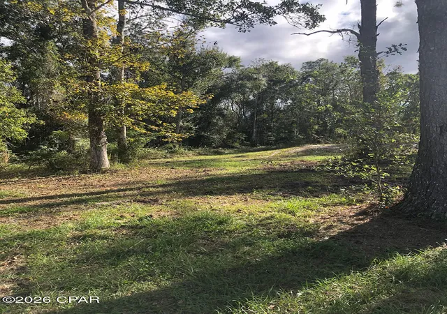 Photo 1 of Land for sale at 7322 E Max Fleming Rd, Wewahitchka, FL 32465 | MLS# 784926 | Listing updated on 2026-08-26