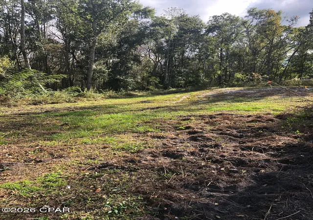 Photo 2 of Land for sale at 7322 E Max Fleming Rd, Wewahitchka, FL 32465 | MLS# 784926 | Listing updated on 2026-08-26