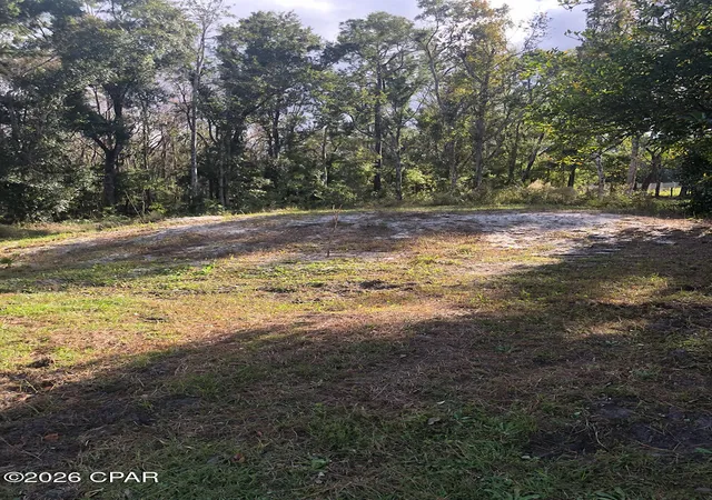 Photo 3 of Land for sale at 7322 E Max Fleming Rd, Wewahitchka, FL 32465 | MLS# 784926 | Listing updated on 2026-08-26