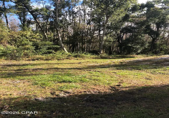 Photo 3 of Land for sale at 7322 E Max Fleming Rd, Wewahitchka, FL 32465 | MLS# 784926 | Listing updated on 2026-08-26