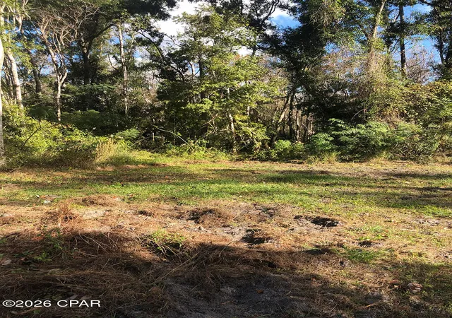 Photo 4 of Land for sale at 7322 E Max Fleming Rd, Wewahitchka, FL 32465 | MLS# 784926 | Listing updated on 2026-08-26
