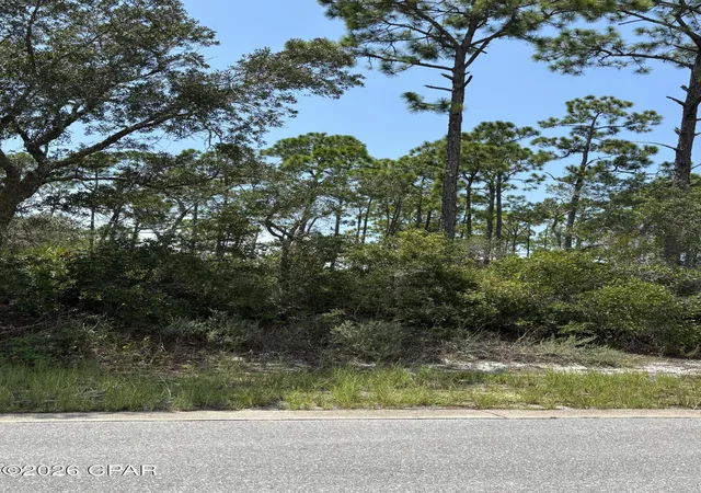 Photo 3 of Land for sale at 207 Signal Ln, Port Saint Joe, FL 32456 | MLS# 785004 | Listing updated on 2026-08-20