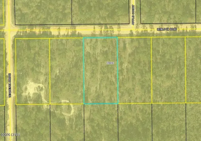 Photo 2 of Land for sale at 00 Hemlock Rd, Marianna, FL 32448 | MLS# 785035 | Listing updated on 2026-08-24