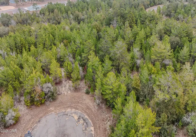 Photo 3 of Land for sale at 0000 Tassel Ct, Chipley, FL 32428 | MLS# 785166 | Listing updated on 2026-09-07