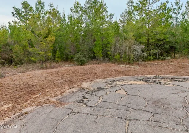 Photo 4 of Land for sale at 0000 Tassel Ct, Chipley, FL 32428 | MLS# 785166 | Listing updated on 2026-09-07
