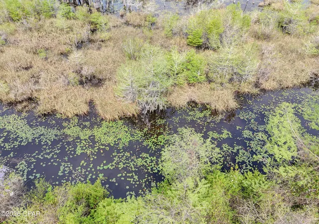 Photo 4 of Land for sale at 9209 Lake Forest Dr, Youngstown, FL 32466 | MLS# 785499 | Listing updated on 2026-09-01