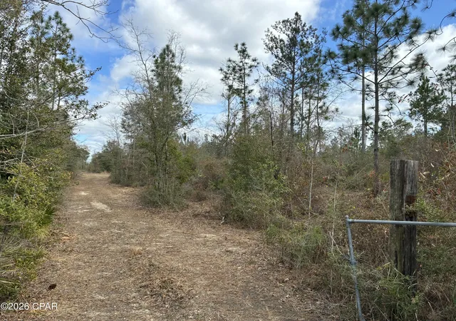 Photo 3 of Land for sale at 11922 Tammy Pitts Rd, Fountain, FL 32438 | MLS# 785649 | Listing updated on 2026-08-26