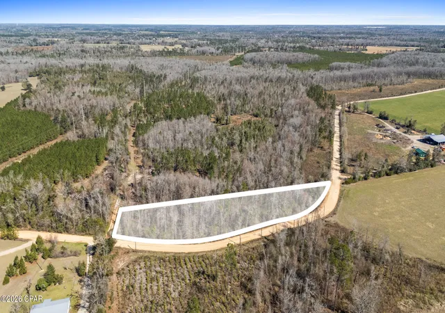 Photo 2 of Land for sale at 0 Swaills Rd, Alford, FL 32420 | MLS# 785954 | Listing updated on 2026-09-10
